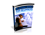 Blogging Basics for Beginners – plrfreedownloads.com