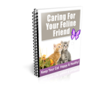 Caring for Your Feline Friend – plrfreedownloads.com