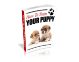 How to Train Your Puppy – plrfreedownloads.com