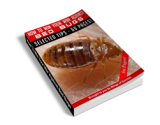 How to Win Your War Against Bed Bugs – plrfreedownloads.com