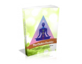 The Chakra Checklist – plrfreedownloads.com