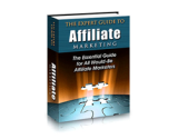 The Expert Guide to Affiliate Marketing – plrfreedownloads.com