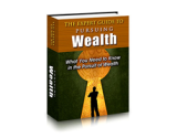 The Expert Guide to Pursuing Wealth – plrfreedownloads.com