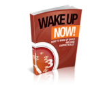 Wake up Now! – plrfreedownloads.com